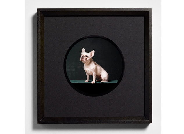 Bettina von Zwehl – Pup Portraits