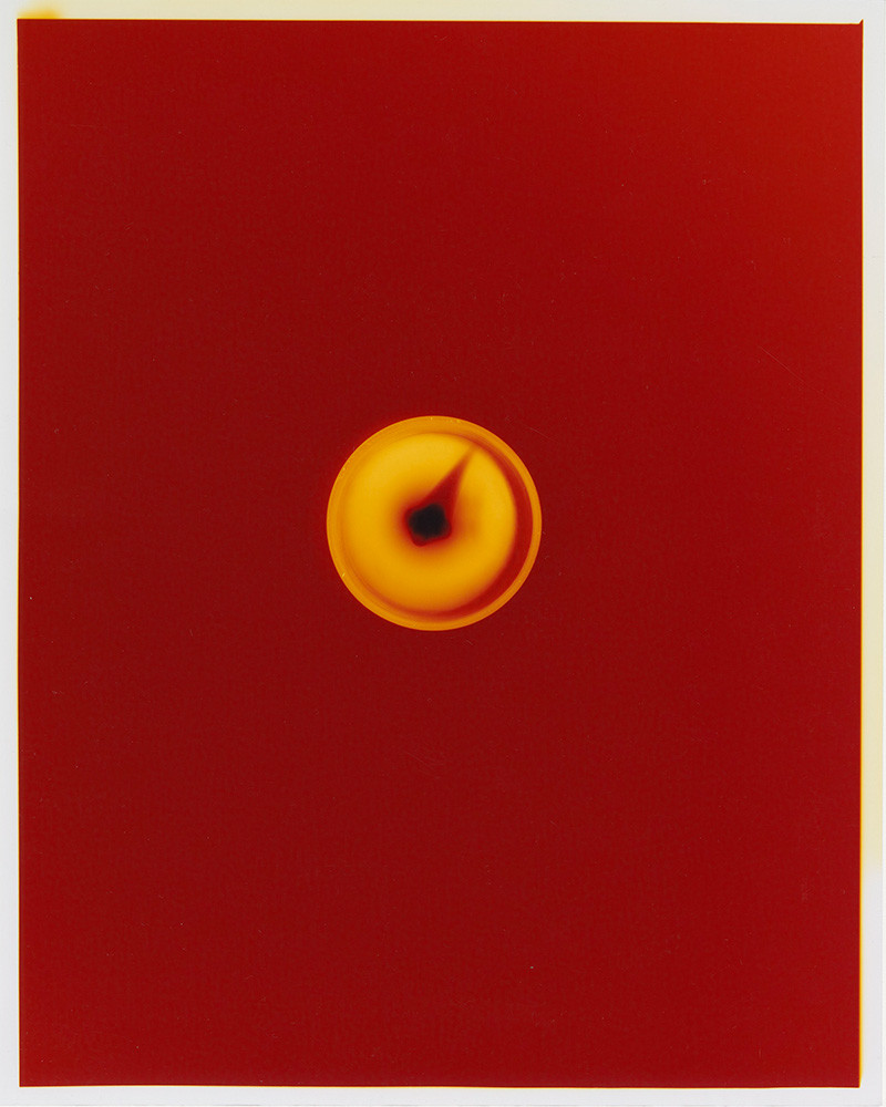 Spotlight: Maite de Orbe