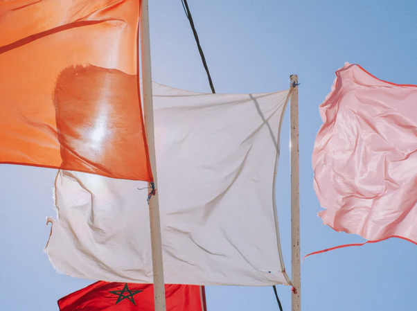 Artists for Morocco, Earthquake Appeal